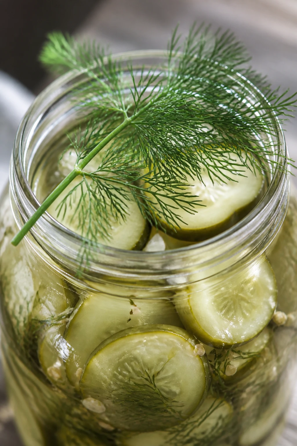 Closeup of dill sprig resting atop a jar of clear homemade pickles