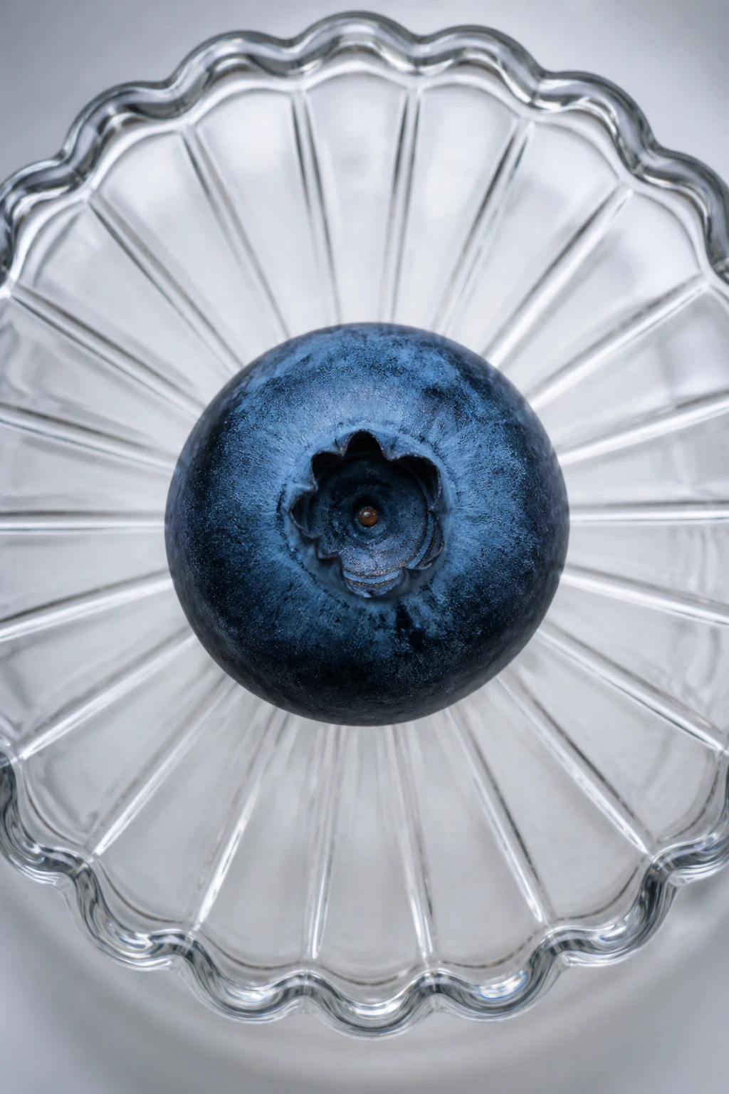 Closeup of a single blueberry on a glass cake stand top view
